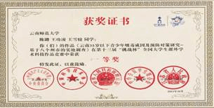 全国挑战杯《云南35岁以下青少年吸毒成因及预防对策研究——基于八个州市的实地调查》